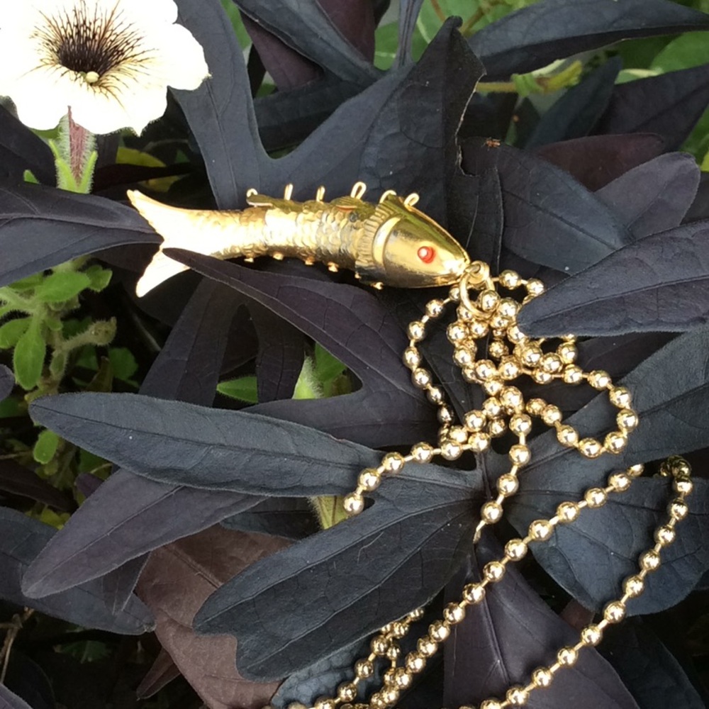Fish out of water